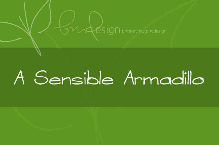 A Sensible Armadillo Font Graphic