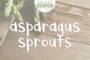 asparagus sprouts font