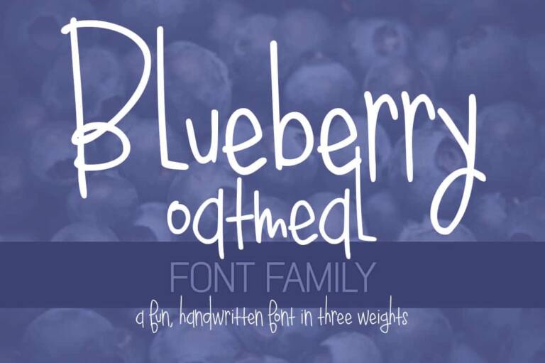 Blueberry Oatmeal Font Family Graphic