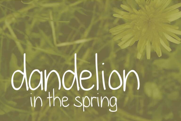 Dandelion in the Spring Font Graphic