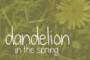 Dandelion in the Spring Font