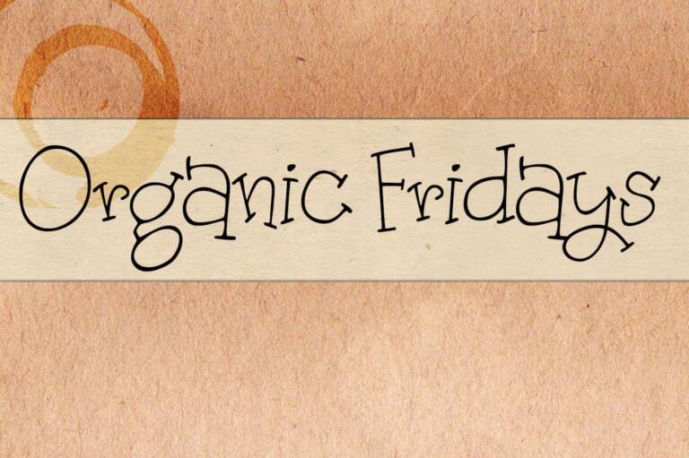 Organic Fridays Font Graphic
