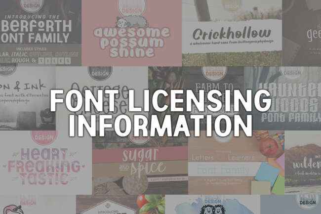font licensing information